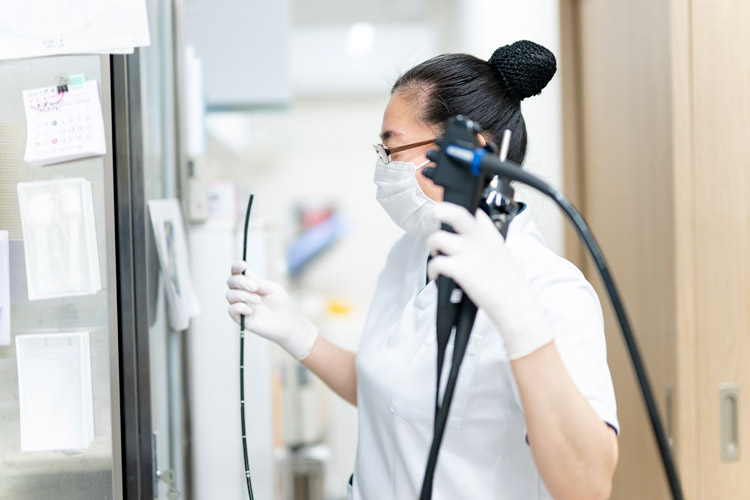 大腸カメラ（大腸内視鏡検査/下部消化管内視鏡検査）のイメージ画像