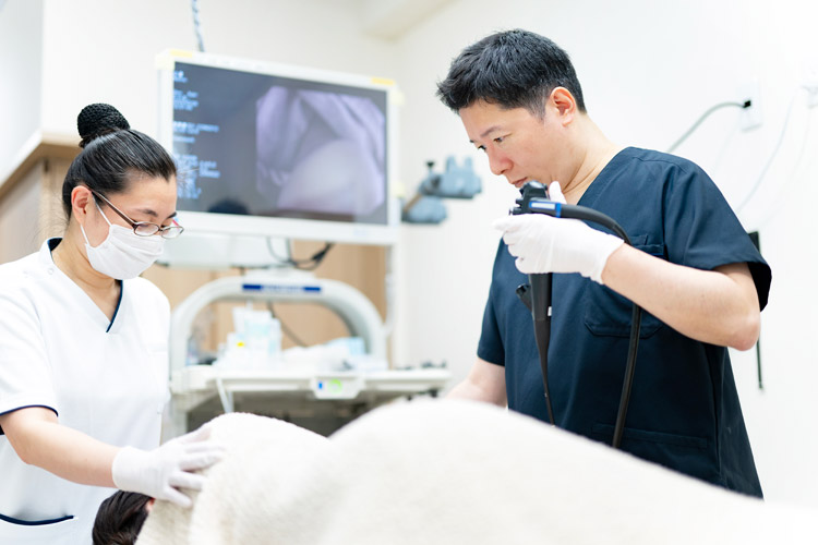 胃カメラ（上部消化管内視鏡検査）のイメージ画像